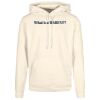 Basic hoodie Thumbnail